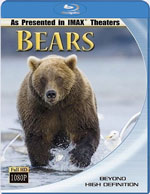 Blu-ray / ������� / Bears
