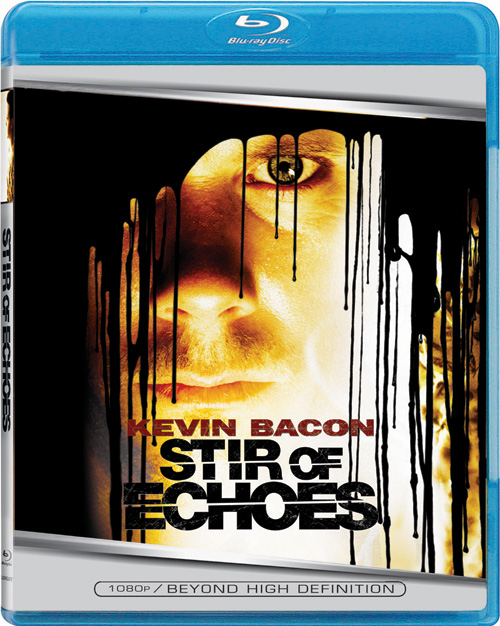 Blu-ray / ������� ��� / Stir of Echoes