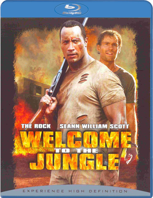 Blu-ray / ��������� �������� / Rundown, The