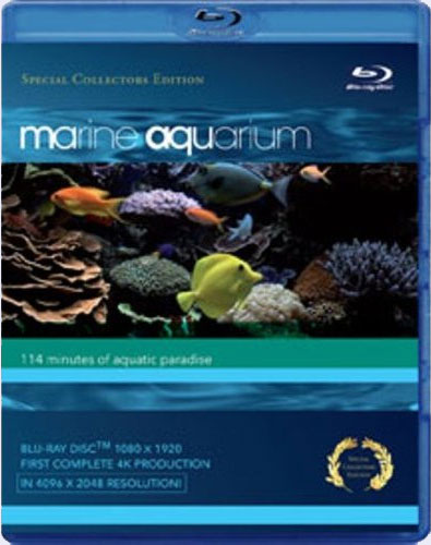 Blu-ray / ������� �������� / Marine Aquarium