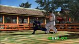 ���������� ���� / Virtua Fighter 5 / 2007