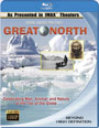 Blu-ray / ������� ����� / Great North